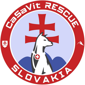 Casavit_logo