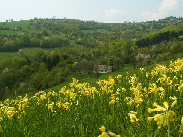 White Carpathian Landscape