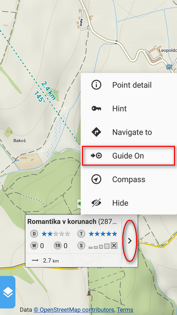 Point guidance from the map